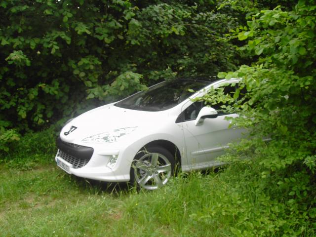 http://www.forum-peugeot.com/Forum/mesimages/9534/308 034.jpg